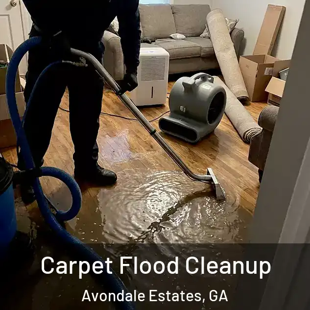  Carpet Flood Cleanup Avondale Estates, GA