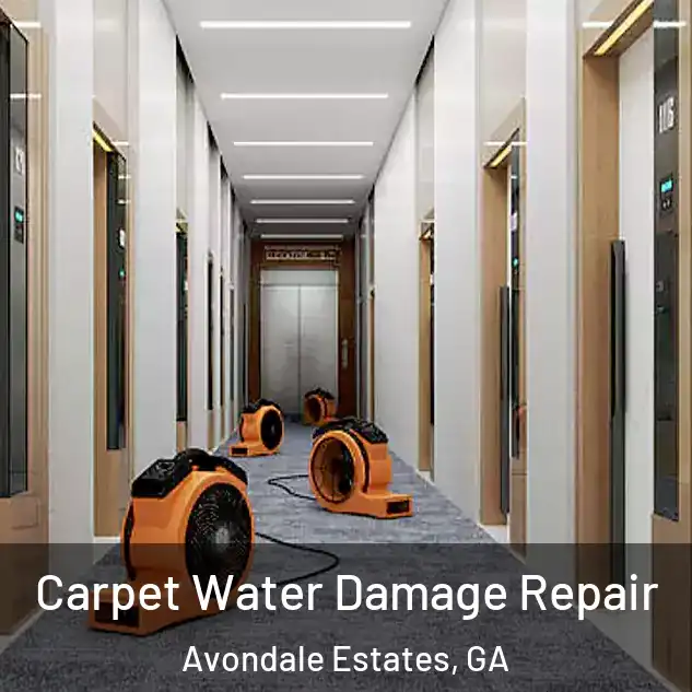  Carpet Water Damage Repair Avondale Estates, GA