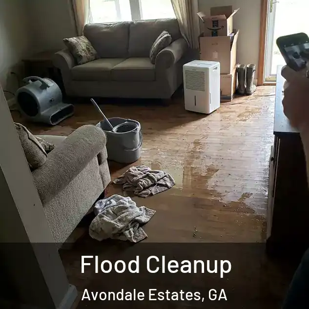  Flood Cleanup Avondale Estates, GA