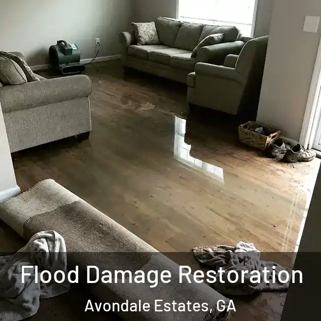  Flood Damage Restoration Avondale Estates, GA