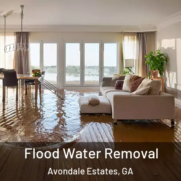  Flood Water Removal Avondale Estates, GA