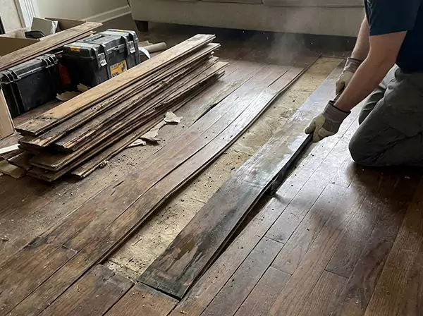 Water Damage Drying in Avondale Estates