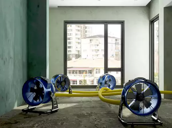 Water Removal Services in Avondale Estates