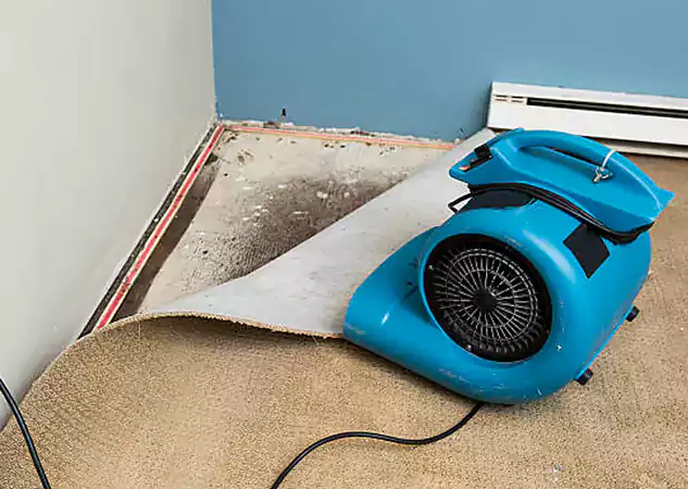 Your Water Damage Experts in Avondale Estates, GA