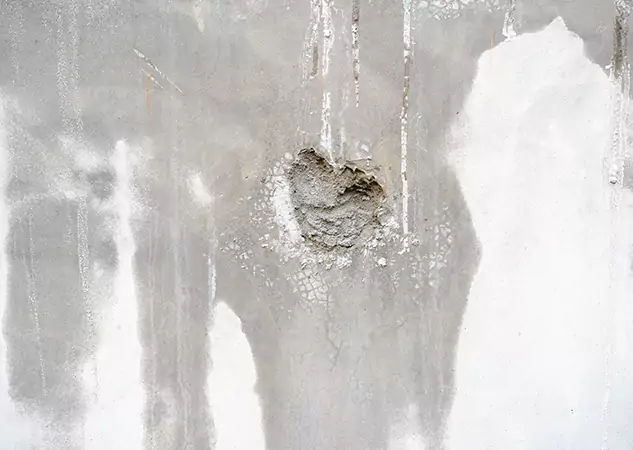 Your Mold Mitigation Solutions Partner in Avondale Estates, GA