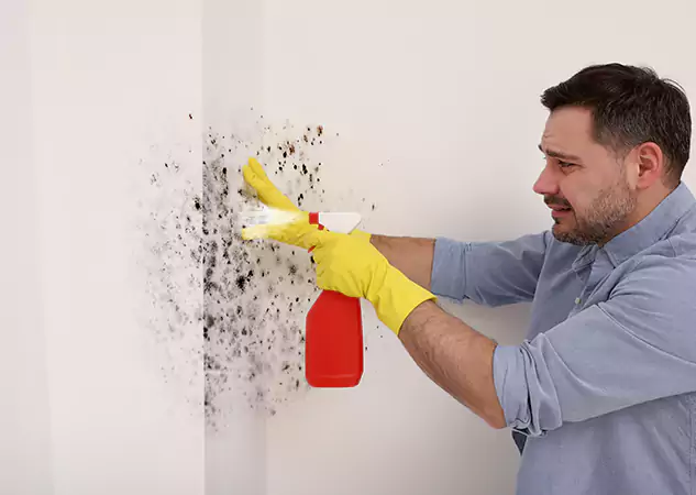 Your Water Mold Fire Restoration Partner in Avondale Estates, GA
