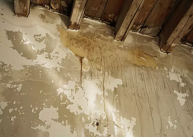 Your Trusted Restoration Company in Avondale Estates, GA