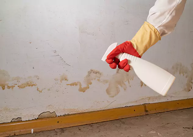 Your Water Restoration and Mold Remediation Specialists in Avondale Estates, GA