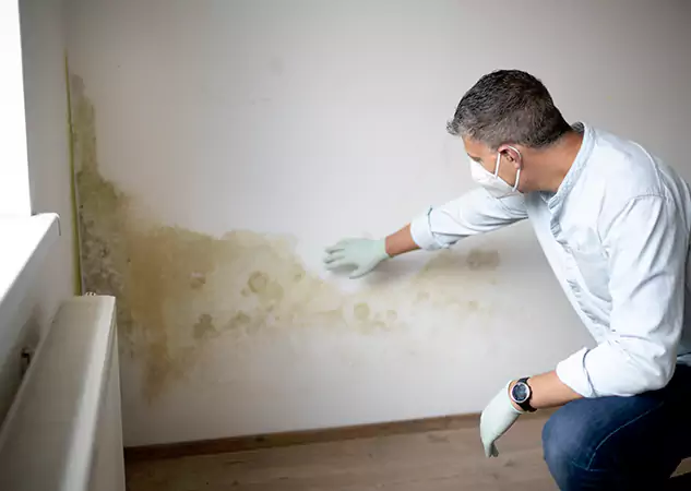 Reach Our Remediation Team Before Damage Grows in Avondale Estates, GA!