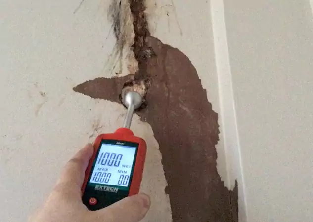 Your Water Damage Assessment Partner in Avondale Estates, GA