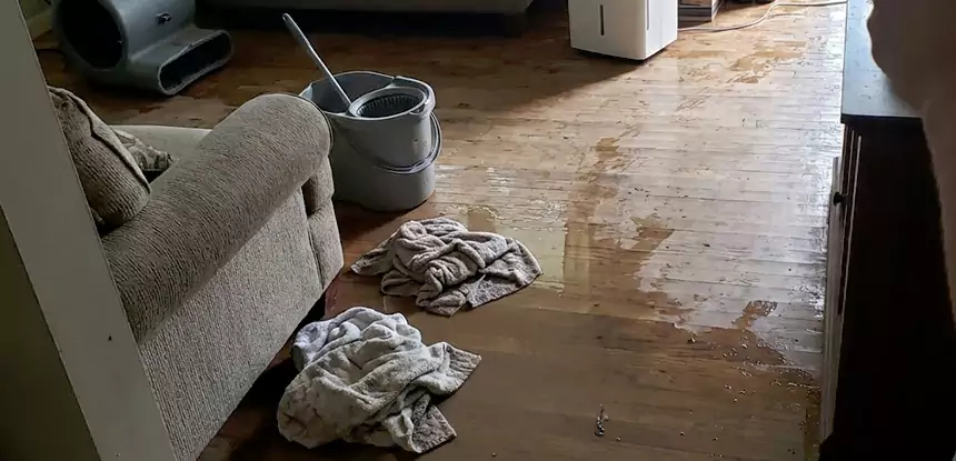 Professional Basement Water Remediation Services in Avondale Estates, GA
