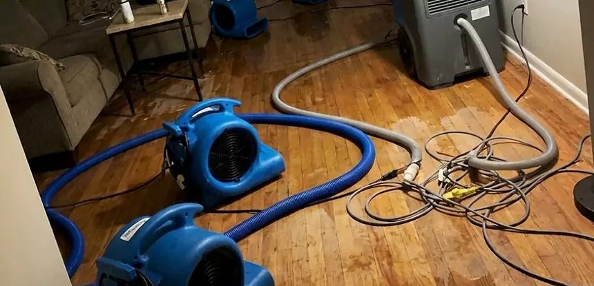 Basement Flood Restoration Services in Avondale Estates