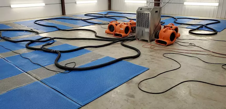 Large-Scale Water Cleanup in Avondale Estates