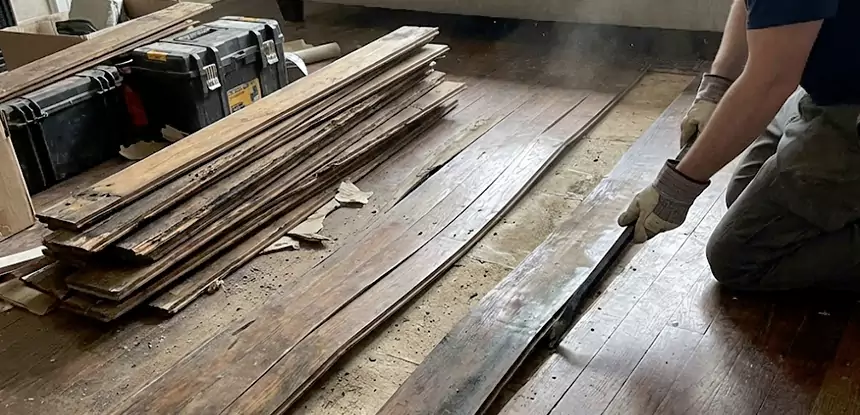 Wood Rot and Fungus Repair in Avondale Estates