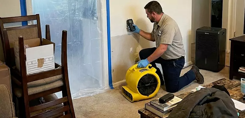 Carpet Water Damage Repair Avondale Estates