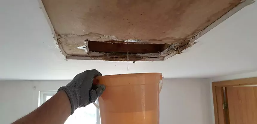 Ceiling Mold Repair Avondale Estates 