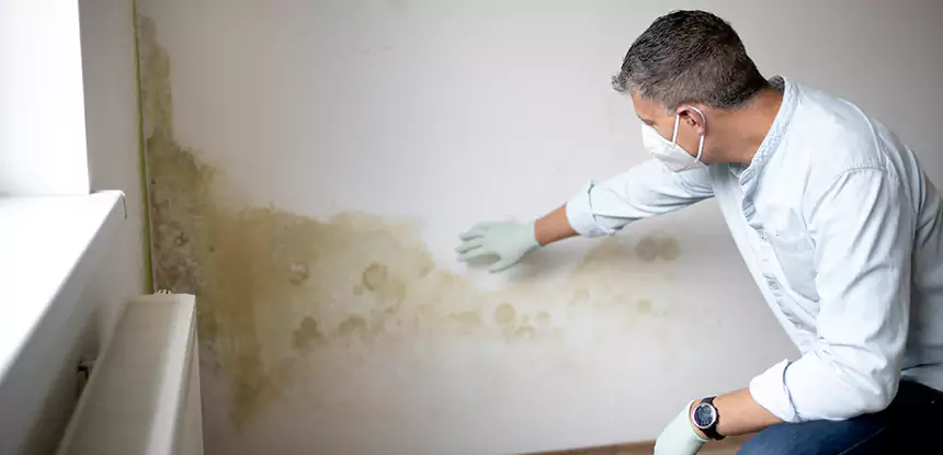 Mold and Water Damage Repair in Avondale Estates