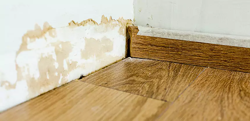 Professional Fix Water Damaged Wood Services in Avondale Estates, GA