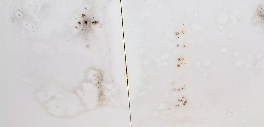 Professional Water Stain Repair Services in Avondale Estates, GA