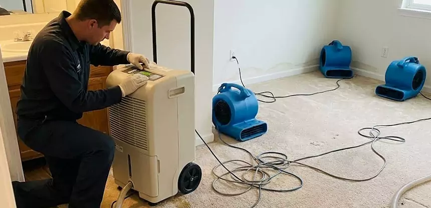 Professional Wet Carpet Removal Services in Avondale Estates, GA
