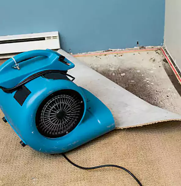 Why Avondale Estates Trusts Avondale Estates Restoration Pro for Carpet Flood Recovery?
