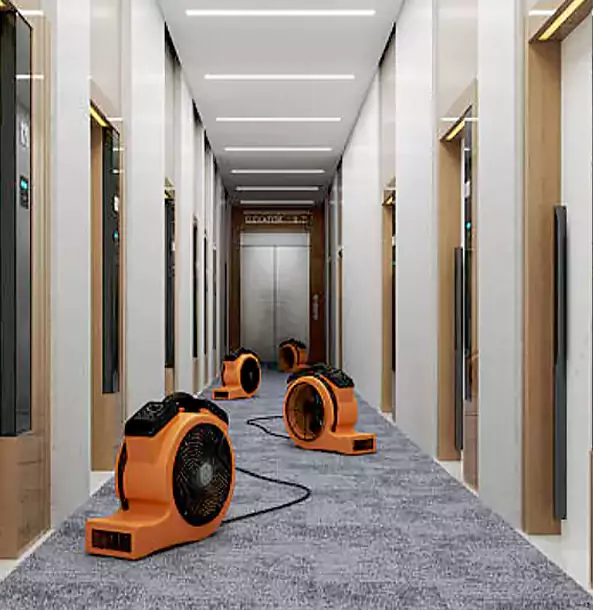 Why Avondale Estates Trusts Avondale Estates Restoration Pro?