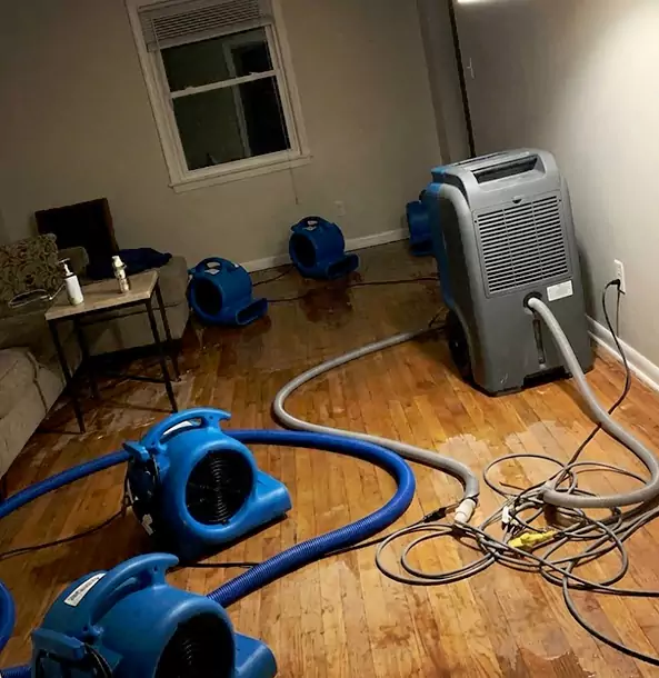Why Avondale Estates Calls Avondale Estates Restoration Pro First for Emergency Restoration?