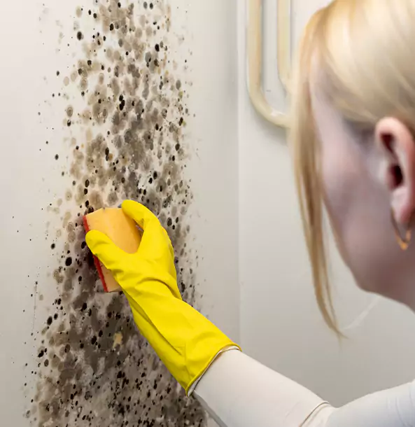 Why Avondale Estates Restoration Pro Leads Mold Remediation in Avondale Estates?