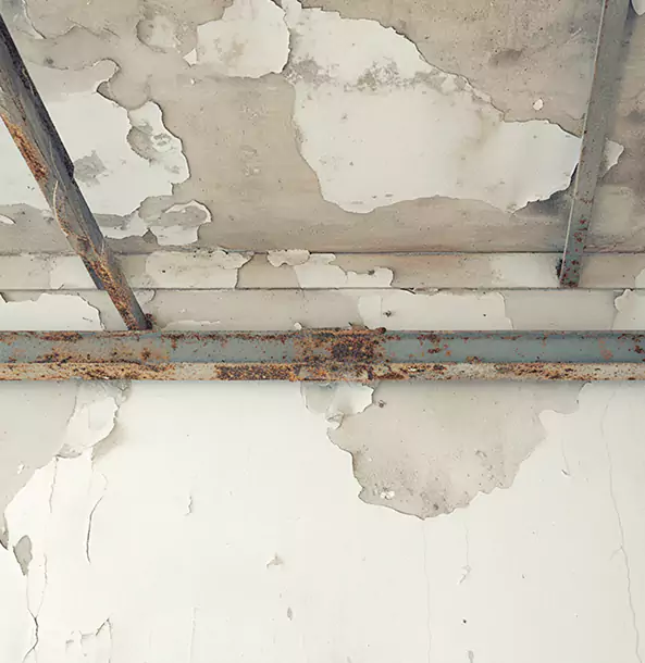 Why Avondale Estates Restoration Pro Is the Right Choice in Avondale Estates, GA?