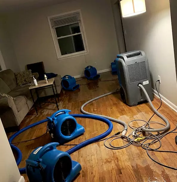 Why Avondale Estates Property Owners Rely on Avondale Estates Restoration Pro for Remediation?