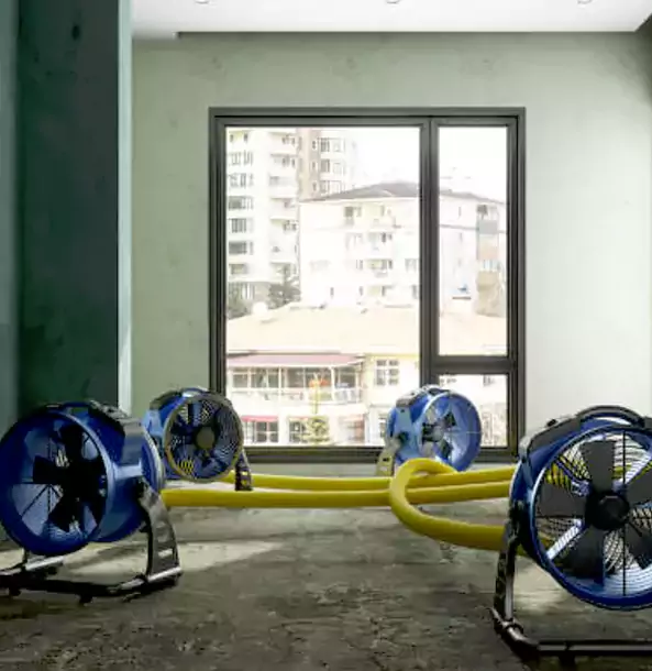 Why Avondale Estates Property Owners Trust Avondale Estates Restoration Pro for Water Damage Drying?