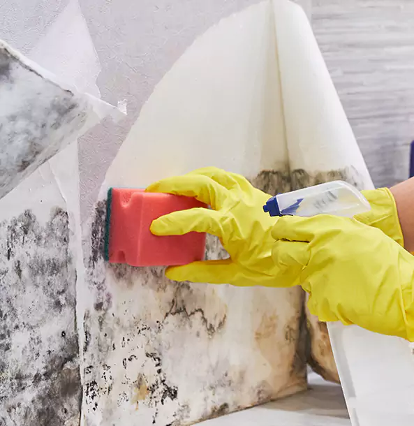 Why Avondale Estates Trusts Avondale Estates Restoration Pro for Mold and Water Restoration?