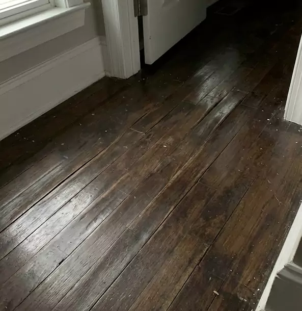 Why Avondale Estates Homeowners Trust Avondale Estates Restoration Pro to Fix Water Damaged Wood?