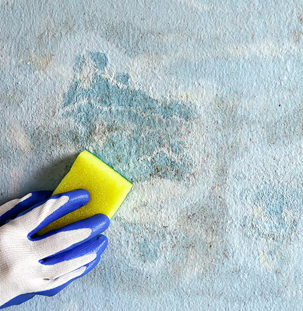 Why Avondale Estates Restoration Pro Is the Right Choice in Avondale Estates, GA?