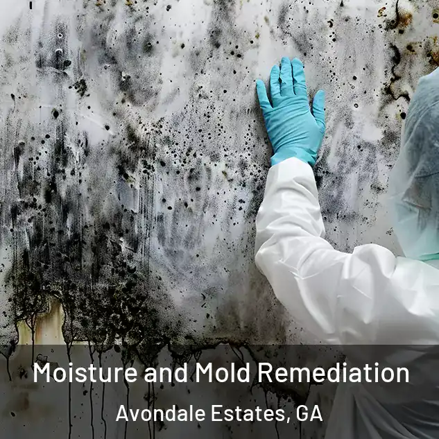  Moisture and Mold Remediation Avondale Estates, GA