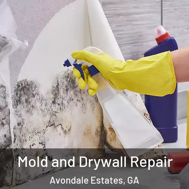  Mold and Drywall Repair Avondale Estates, GA
