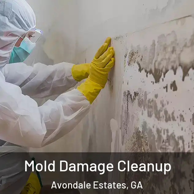  Mold Damage Cleanup Avondale Estates, GA