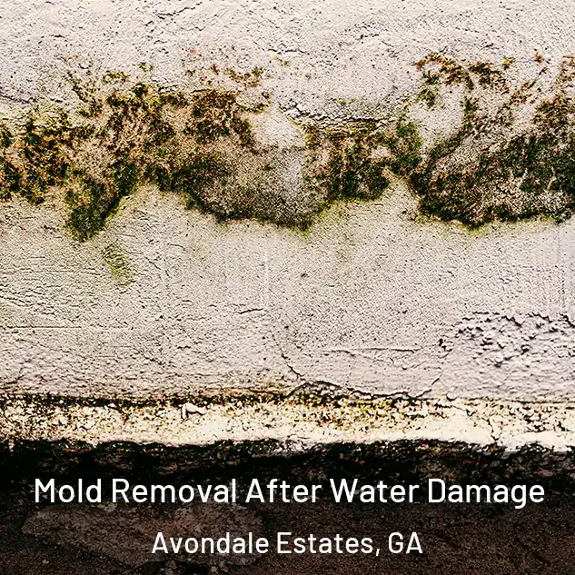  Mold Removal After Water Damage Avondale Estates, GA