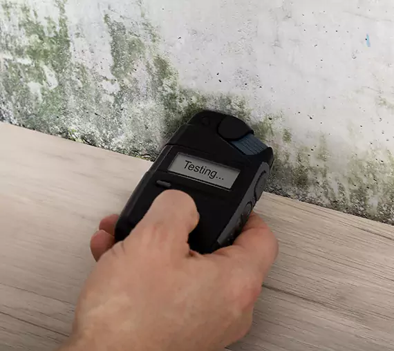Mold Remediation Service Avondale Estates