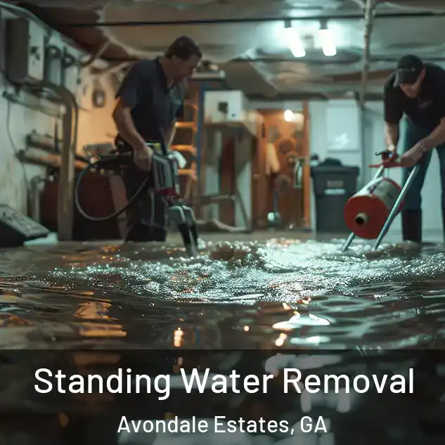  Standing Water Removal Avondale Estates, GA