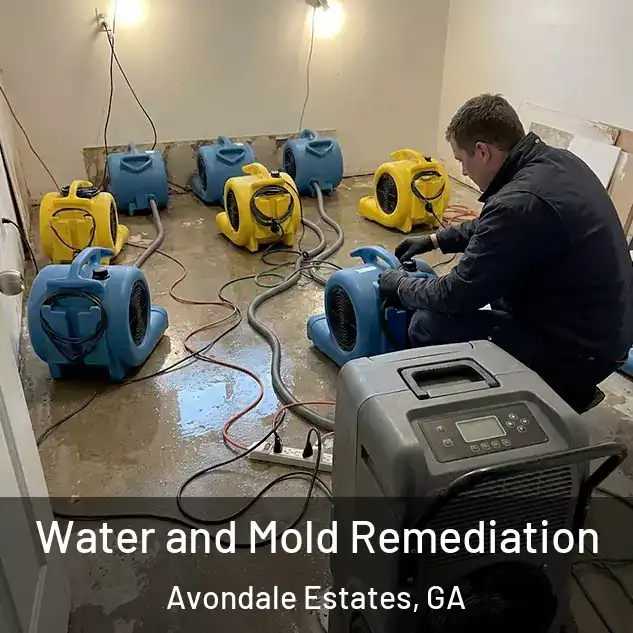  Water and Mold Remediation Avondale Estates, GA