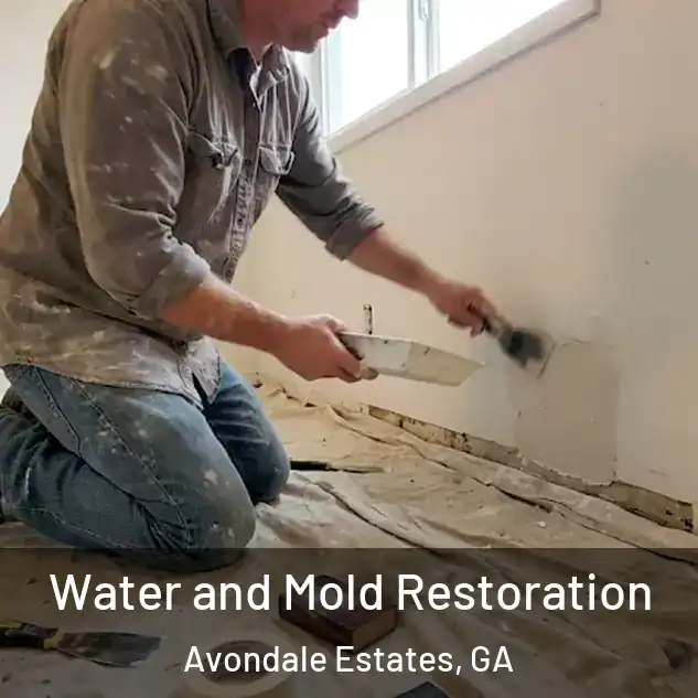  Water and Mold Restoration Avondale Estates, GA