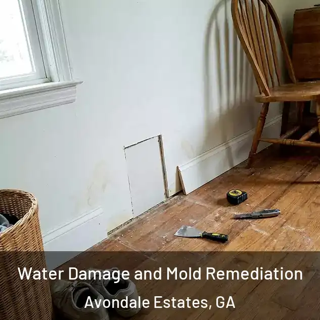  Water Damage and Mold Remediation Avondale Estates, GA