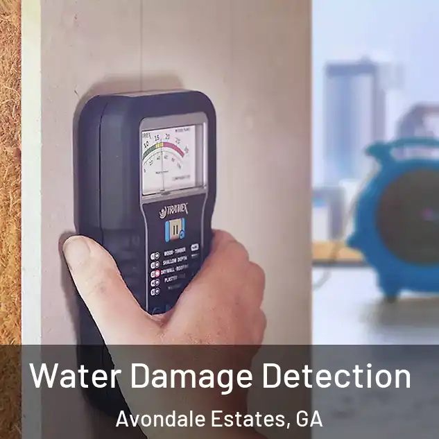  Water Damage Detection Avondale Estates, GA