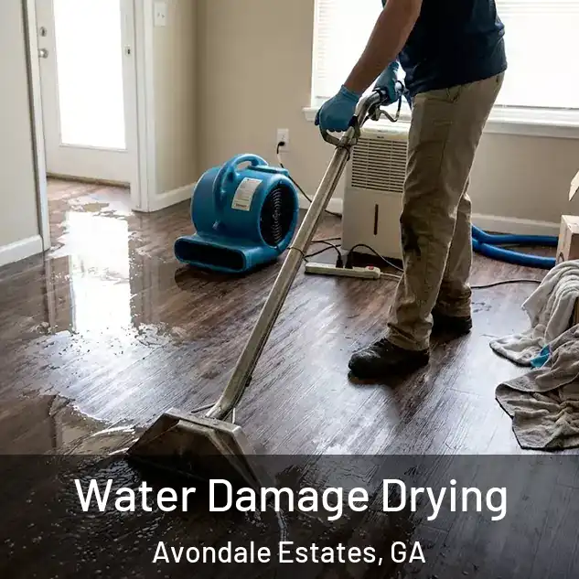  Water Damage Drying Avondale Estates, GA