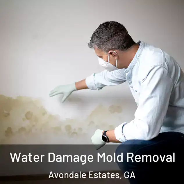  Water Damage Mold Removal Avondale Estates, GA