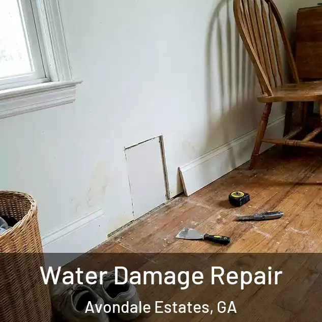 Water Damage Repair Avondale Estates, GA