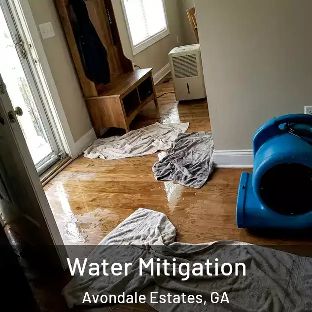  Water Mitigation Avondale Estates, GA