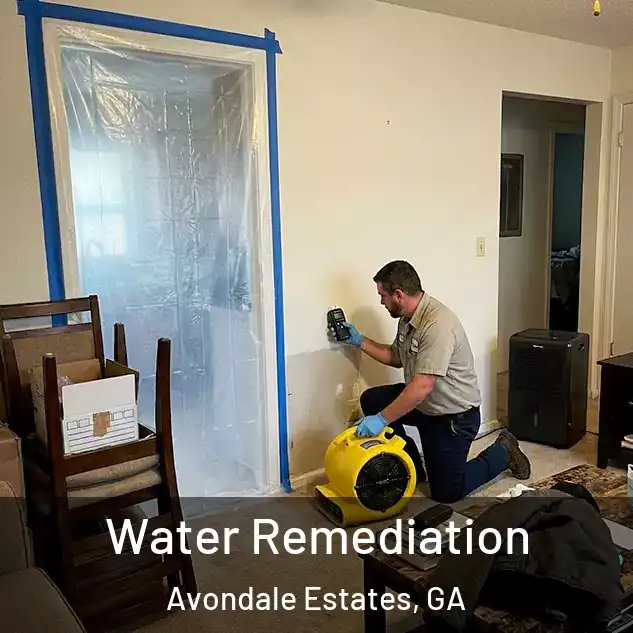 Water Remediation Avondale Estates, GA