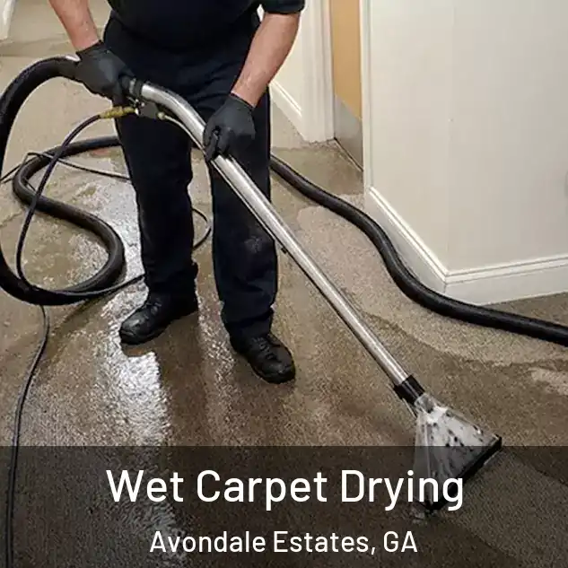  Wet Carpet Drying Avondale Estates, GA